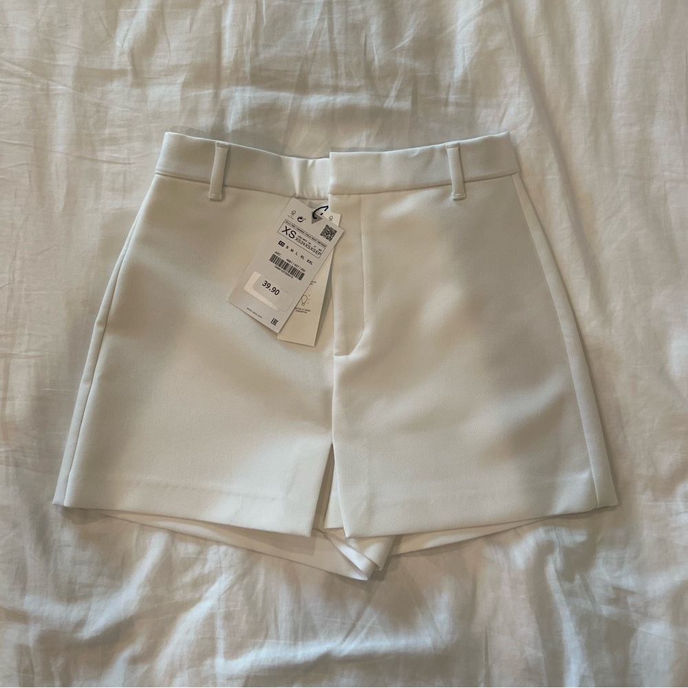 Zara Skort (Skirt/Shorts Combo) XS